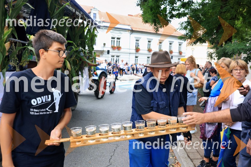 46. Lendavska trgatev 2025