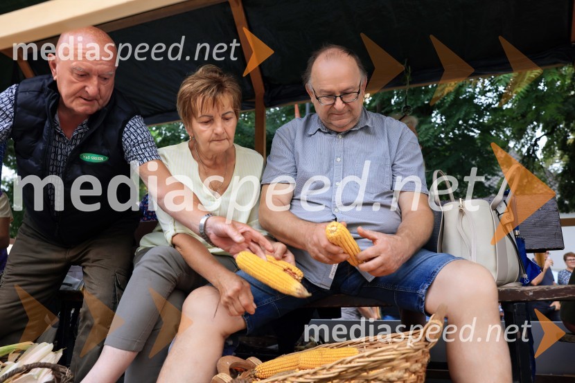 46. Lendavska trgatev 2025