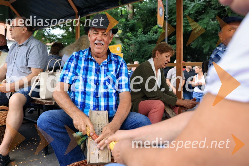 46. Lendavska trgatev 2025