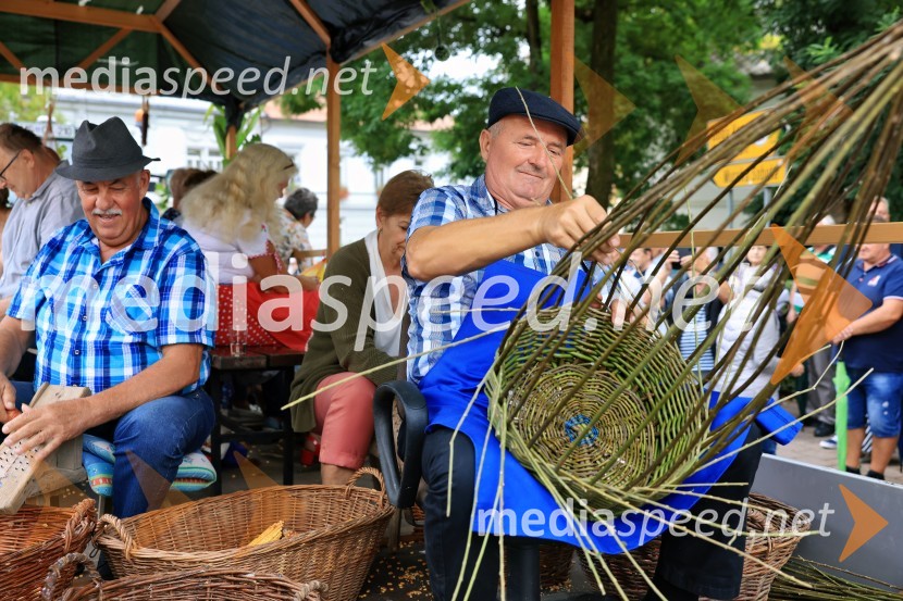 46. Lendavska trgatev 2025