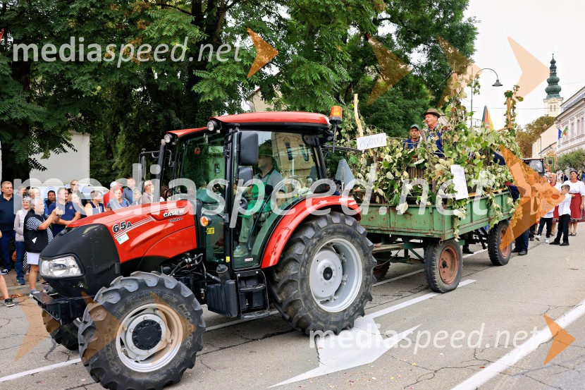 46. Lendavska trgatev 2025