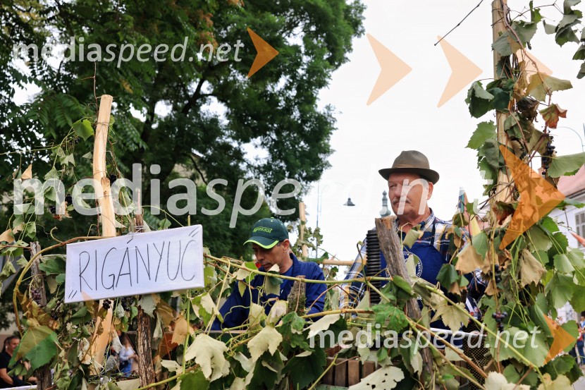 46. Lendavska trgatev 2025