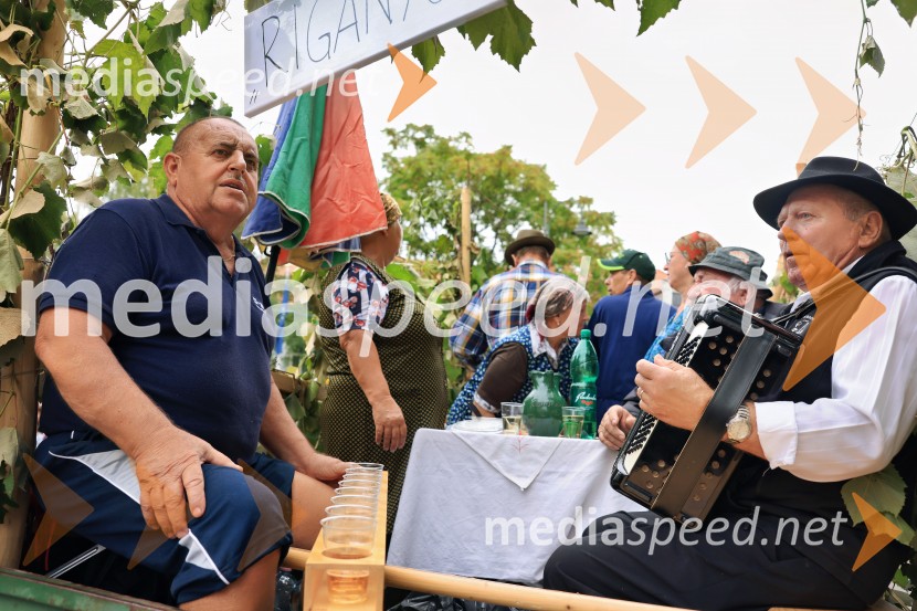 46. Lendavska trgatev 2025