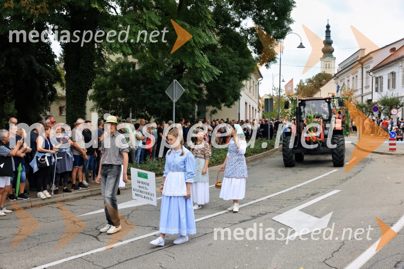 46. Lendavska trgatev 2025