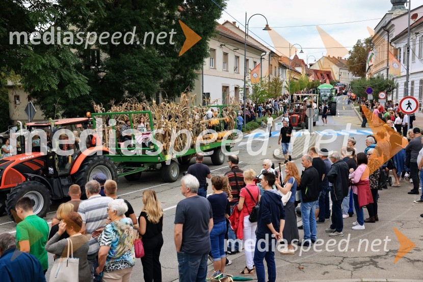 46. Lendavska trgatev 2025