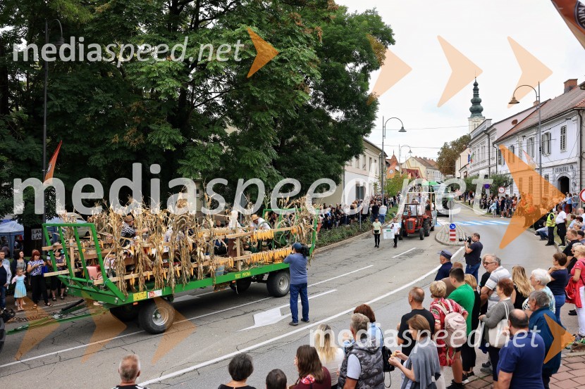 46. Lendavska trgatev 2025