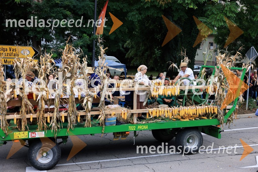 46. Lendavska trgatev 2025