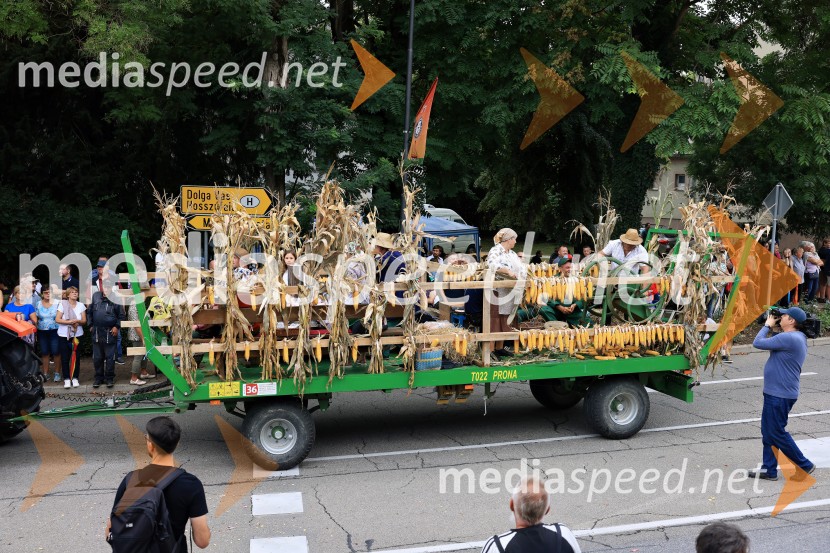 46. Lendavska trgatev 2025