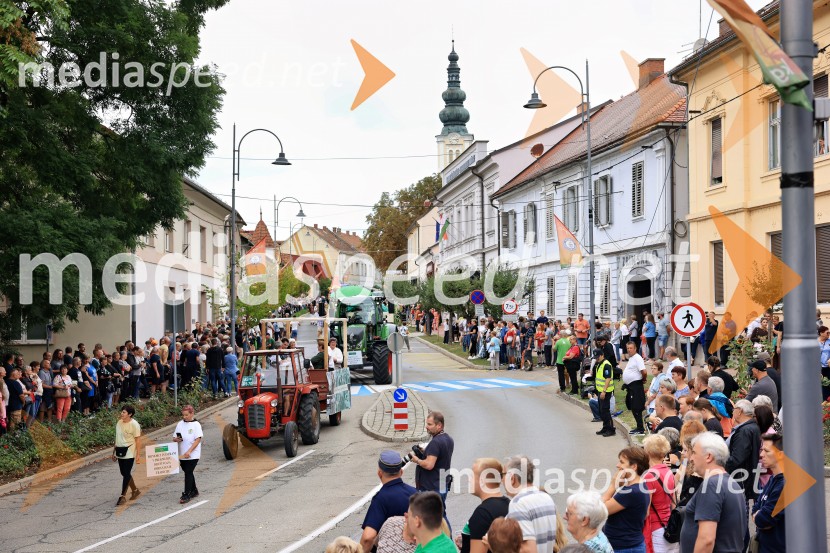 46. Lendavska trgatev 2025