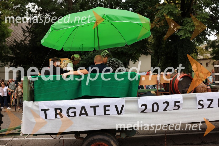 46. Lendavska trgatev 2025