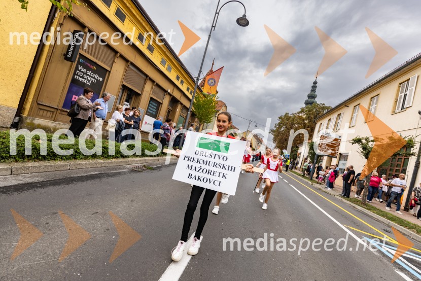 46. Lendavska trgatev 2025