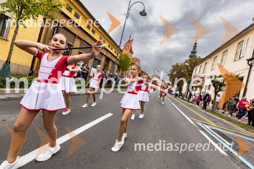 46. Lendavska trgatev 2025