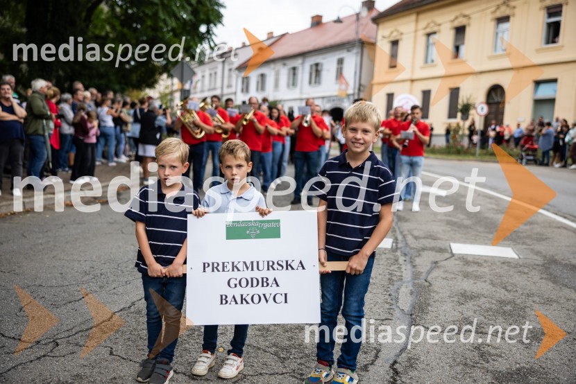 46. Lendavska trgatev 2025