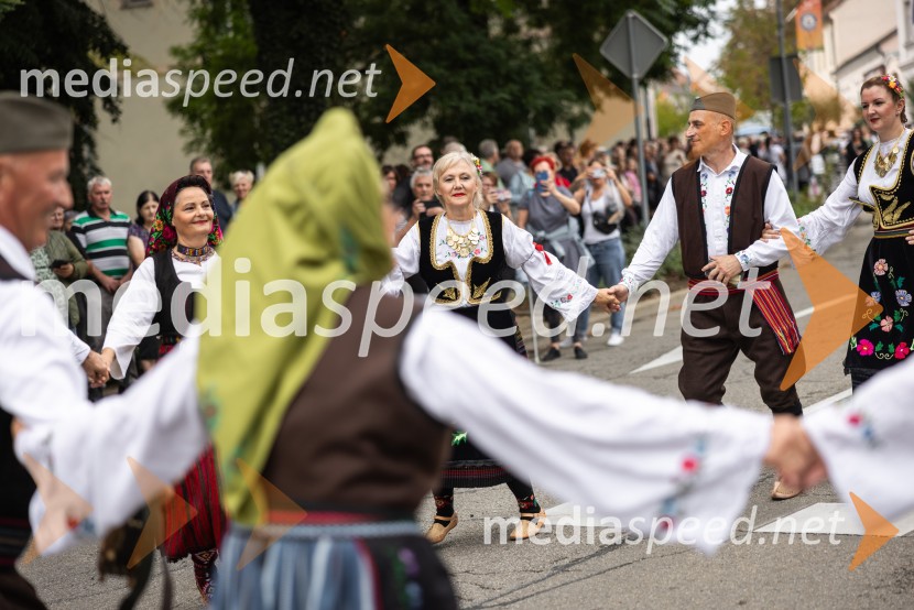 46. Lendavska trgatev 2025