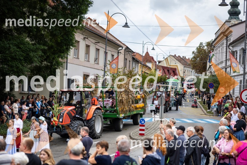 46. Lendavska trgatev 2025