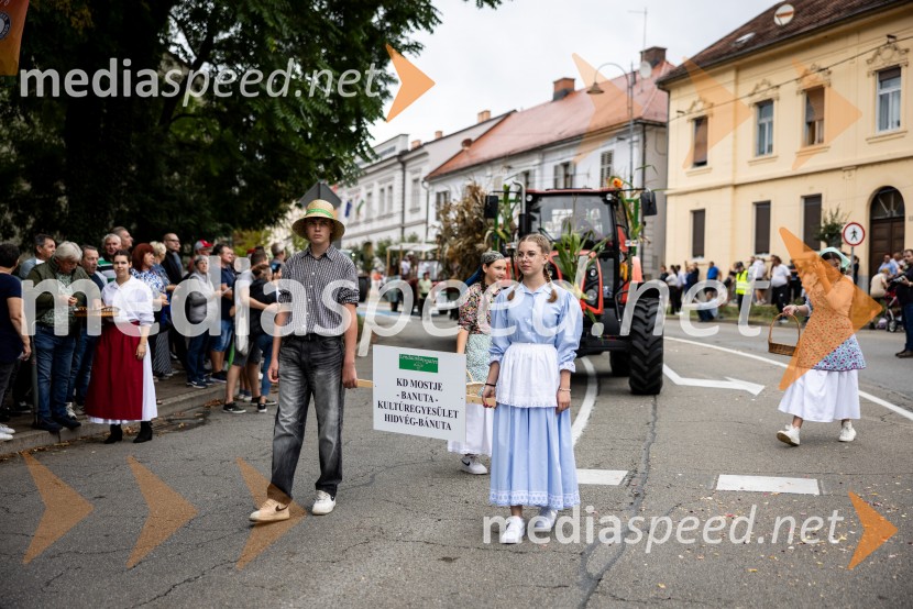 46. Lendavska trgatev 2025