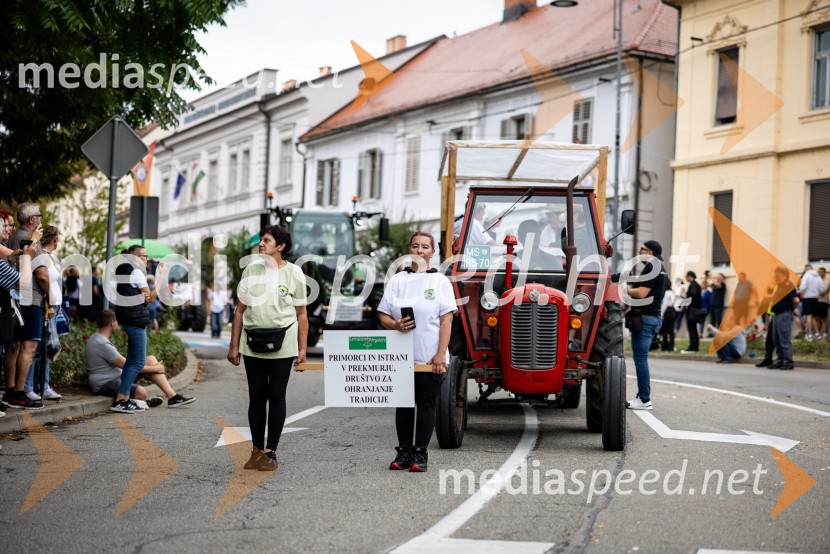 46. Lendavska trgatev 2025