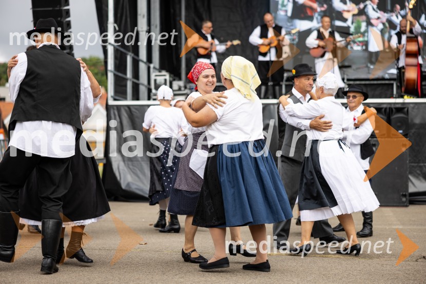 46. Lendavska trgatev 2025