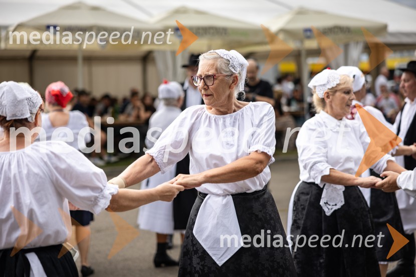 46. Lendavska trgatev 2025