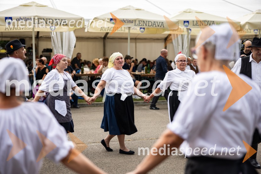 46. Lendavska trgatev 2025