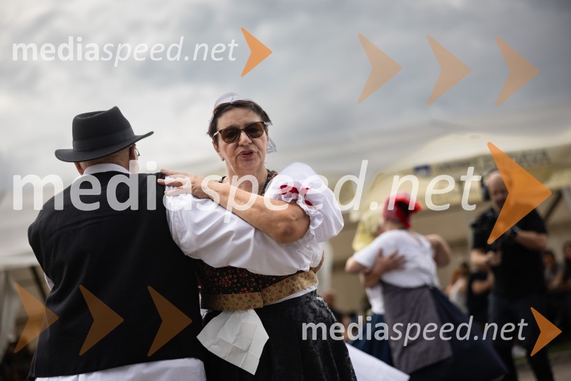 46. Lendavska trgatev 2025