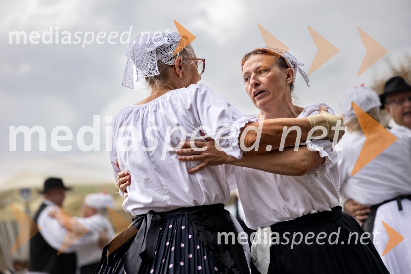 46. Lendavska trgatev 2025