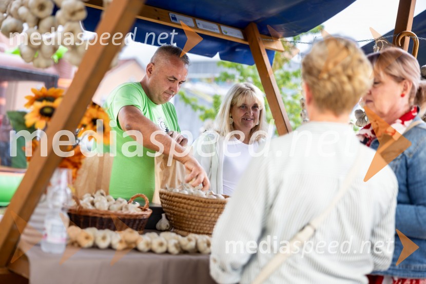 46. Lendavska trgatev 2025