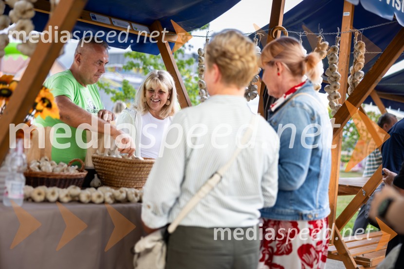 46. Lendavska trgatev 2025