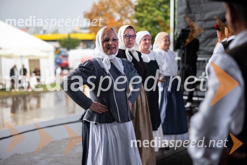 46. Lendavska trgatev 2025