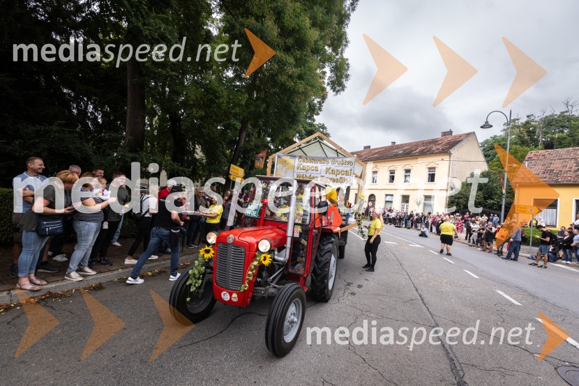 46. Lendavska trgatev 2025