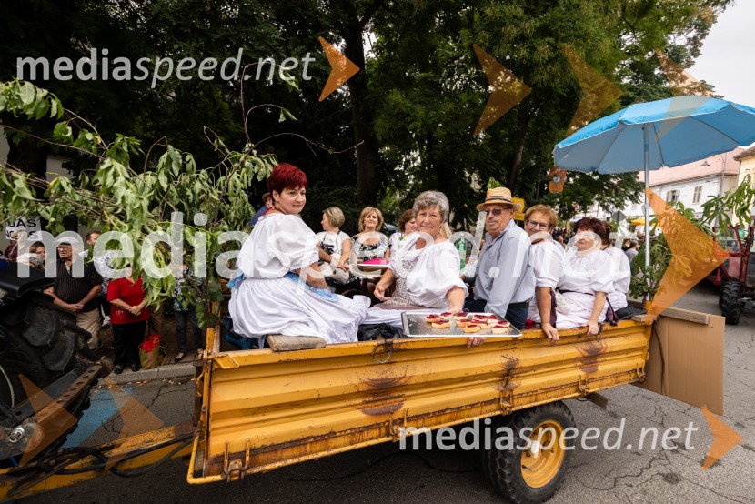 46. Lendavska trgatev 2025