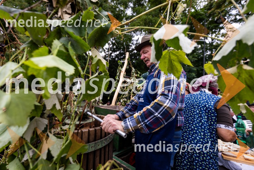 46. Lendavska trgatev 2025