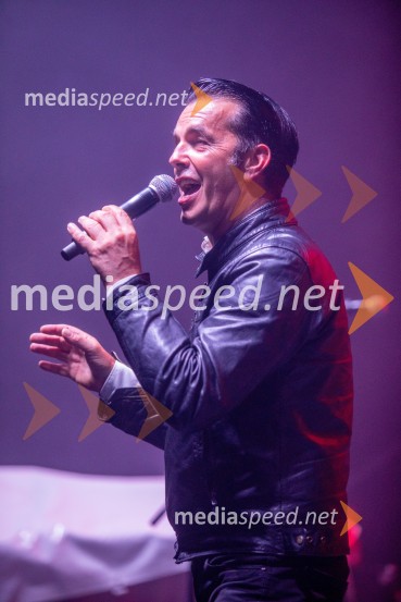  Rok Ferengja, pevec, Rok'n bandRadio City 30 let z velikim koncertom pod Pohorjem