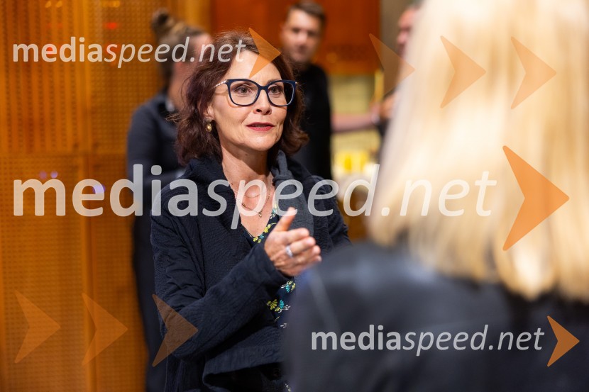  Nina Jakovljević, direktorica, DROM agencyIskrivo v živo: Mojca Pišek v pogovoru z Aljažem Vrabcem