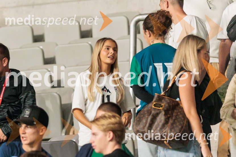 Kvalifikacije za SP 2026; Slovenija – Švedska, nogomet