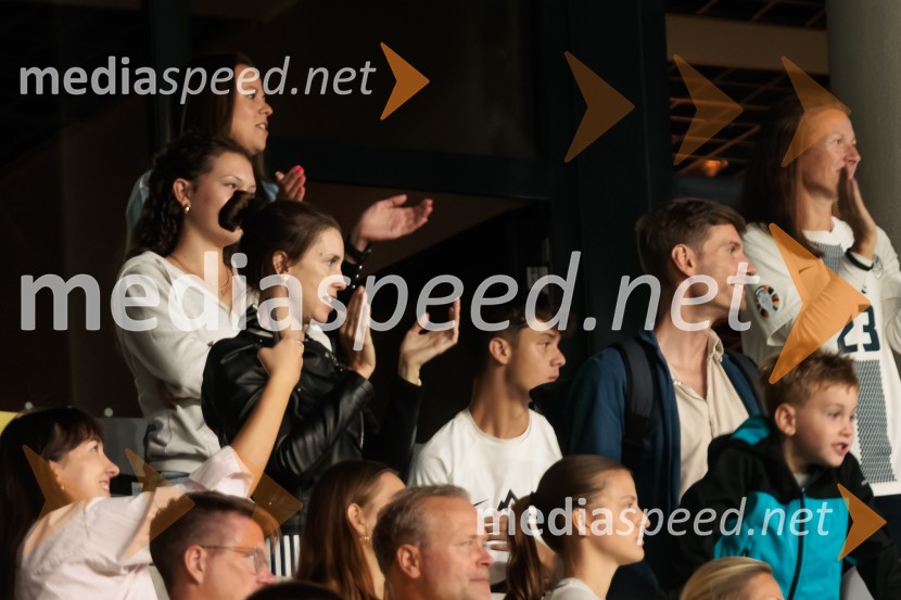 Kvalifikacije za SP 2026; Slovenija – Švedska, nogomet