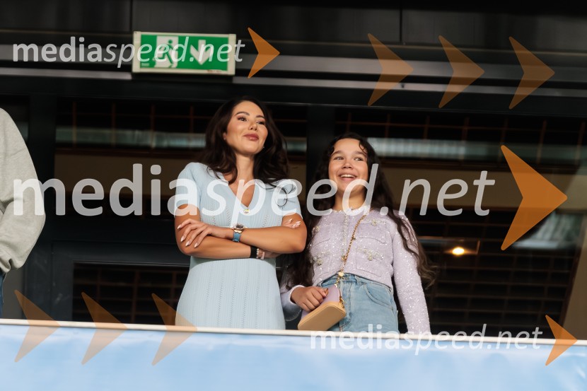 Kvalifikacije za SP 2026; Slovenija – Švedska, nogomet