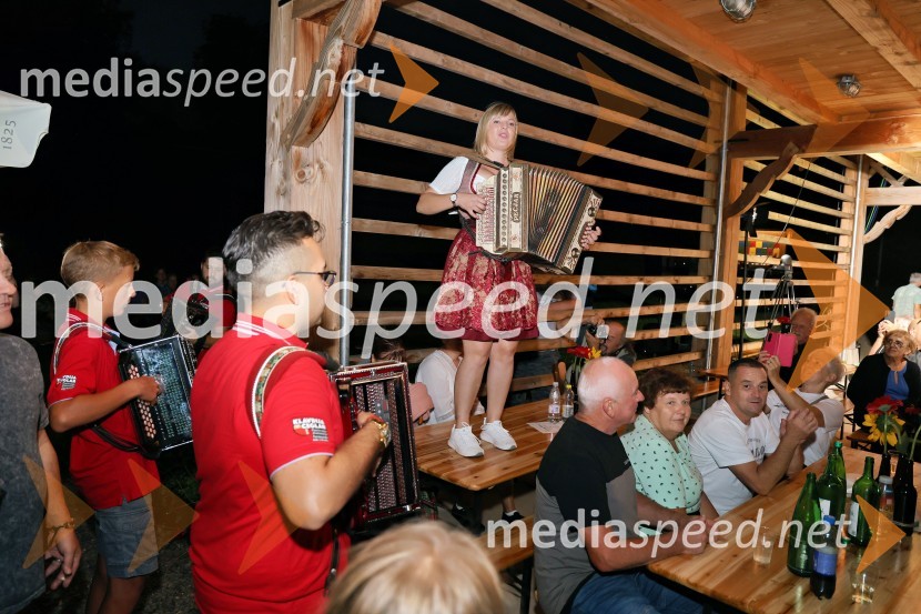  Klavdija Ceglar, harmonikaricaVečer slovenske glasbe na kmetiji Štajerski cvet
