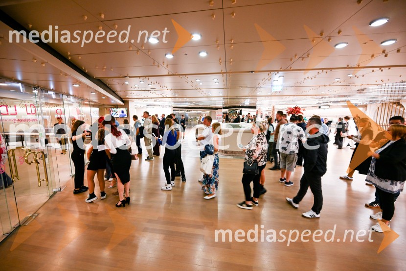 Alya z velikim koncertom v Cankarjevem domu obeležila 25 let kariere