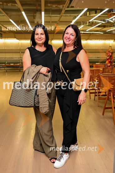 Alya z velikim koncertom v Cankarjevem domu obeležila 25 let kariere