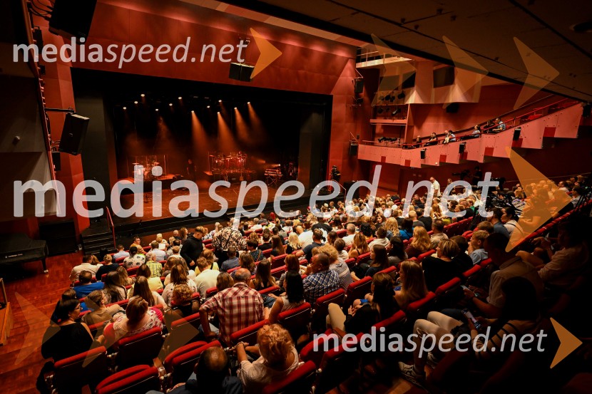 Alya z velikim koncertom v Cankarjevem domu obeležila 25 let kariere