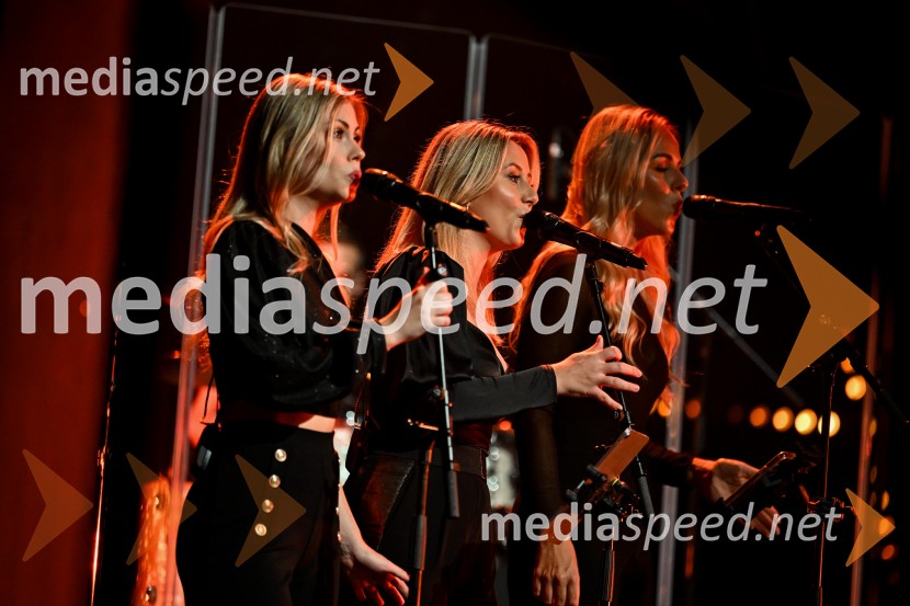 Alya z velikim koncertom v Cankarjevem domu obeležila 25 let kariere