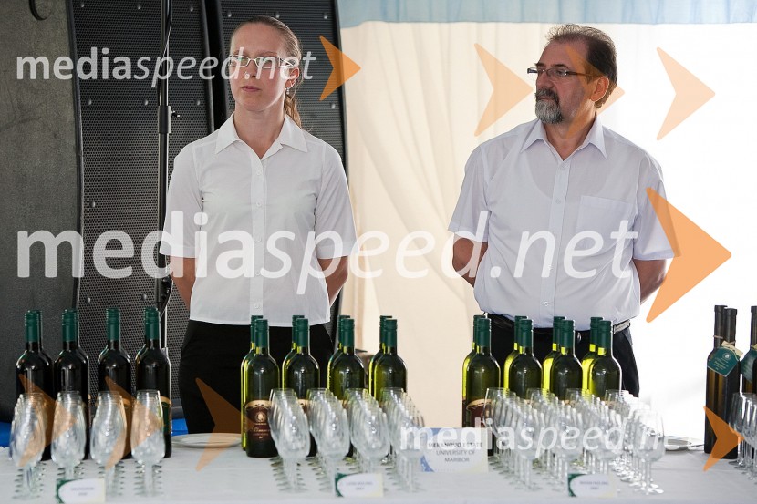 Podelitev odličij mednarodnega univerzitetnega ocenjevanja vinDan Univerze v Mariboru in 50 let Fakultete za organizacijske vede Kranj