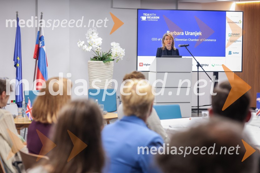 Britansko-evropska poslovna konferenca