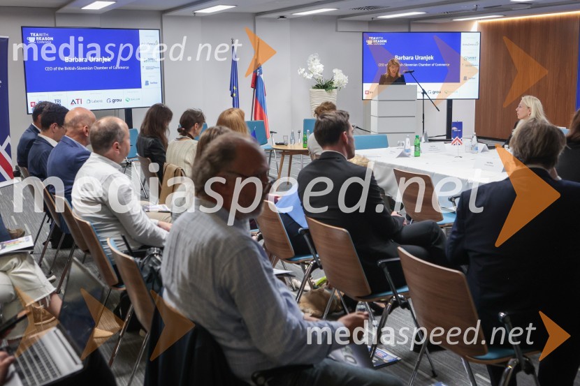 Britansko-evropska poslovna konferenca