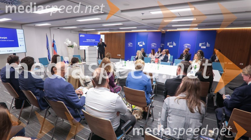 Britansko-evropska poslovna konferenca