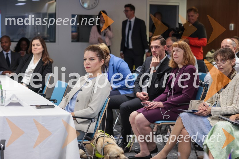 Britansko-evropska poslovna konferenca