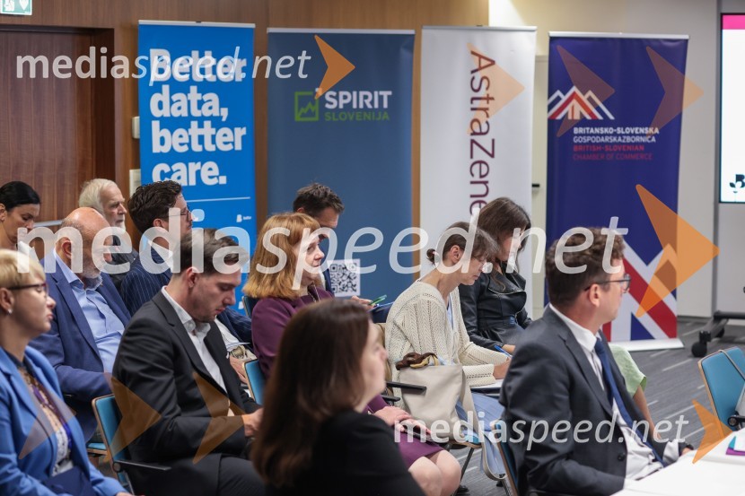 Britansko-evropska poslovna konferenca