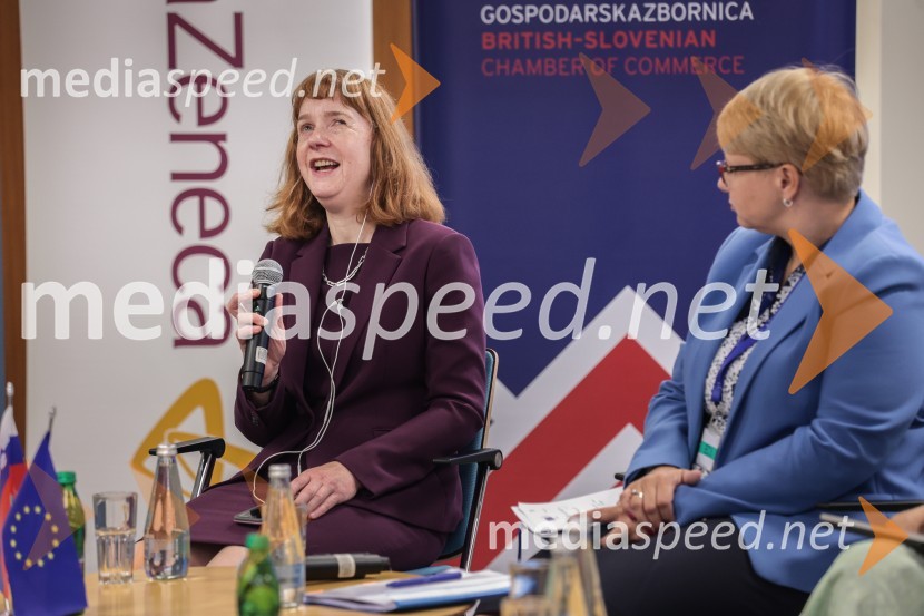  Victoria Harrison, britanska veleposlanica v SlovenijiBritansko-evropska poslovna konferenca
