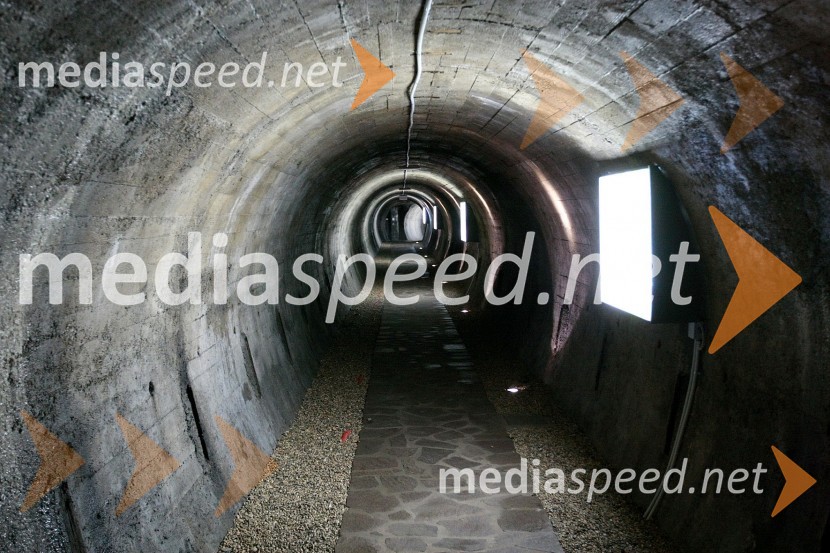 Dan Univerze v Mariboru in 50 let Fakultete za organizacijske vede Kranj